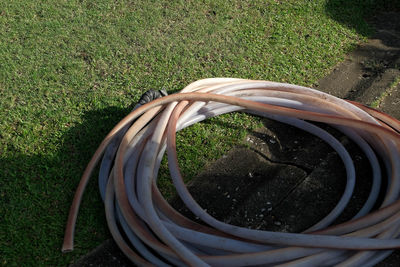 Close-up high angle view of grass