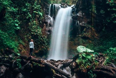 Woman looking at waterfall in forest