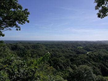 Scenic view of green landscape against blue sky