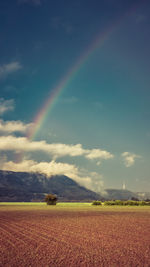 Scenic view of field against rainbow in sky