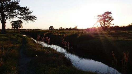 Scenic view of landscape against sky during sunset