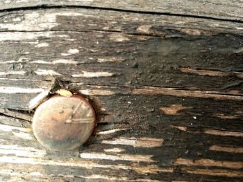 Close-up of ball on wood