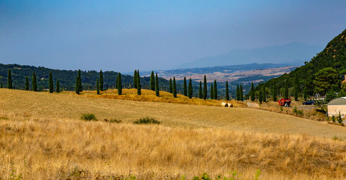 Panoramic view of field against sky