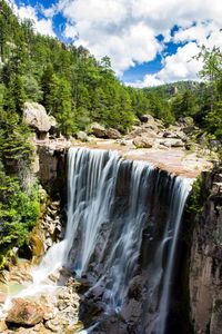 Scenic view of waterfall in forest