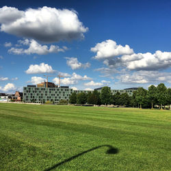 Trees on grassy field against cloudy sky