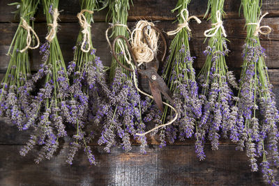 Close-up of purple flowers on tree