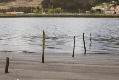 Scenic view of wooden post in lake