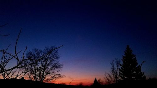 Low angle view of silhouette trees against sky at night