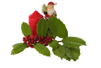 Close-up of red leaf over white background