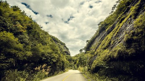 Road amidst trees against sky