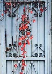 Close-up of closed door