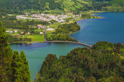 High angle view of trees by lake