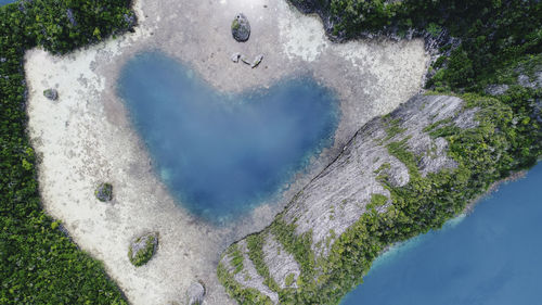 High angle view of heart shape on tree by mountain