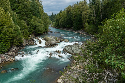 View of chance creek from a bridge with forest in the background