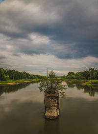 Scenic view of tree against sky