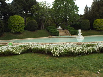 Plants growing in park