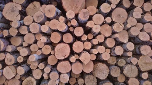 Full frame shot of logs