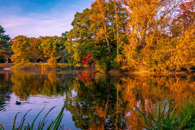 Reflection of trees in lake against sky during autumn
