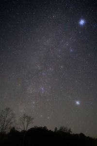 Low angle view of silhouette trees against sky at night