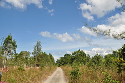 Panoramic view of trees on landscape against sky