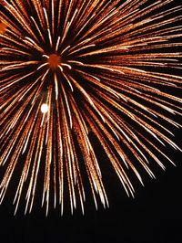 Low angle view of firework display in sky at night