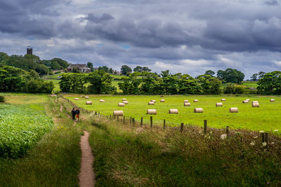 Scenic view of grassy field against sky