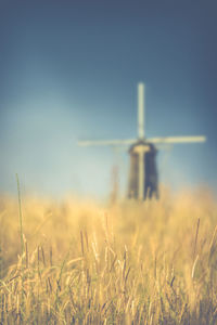 Crops growing on field against sky