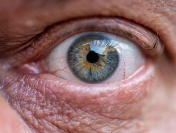 Cropped portrait of man eye