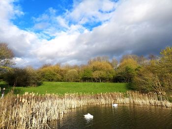 Scenic view of lake against cloudy sky