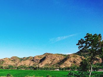 Scenic view of landscape against clear blue sky