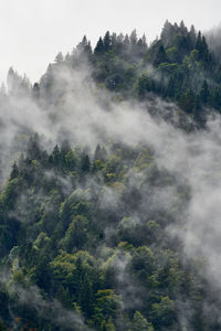 Scenic view of waterfall against sky