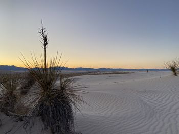 Scenic view of beach against sky during sunset