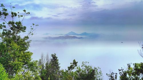 Scenic view of trees and mountains against sky