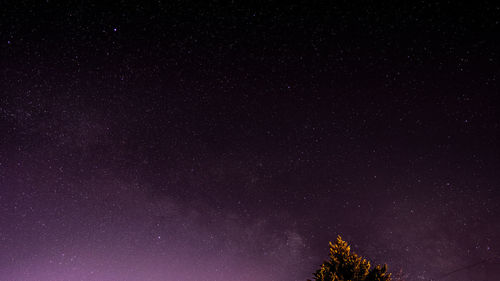 Low angle view of stars against sky at night