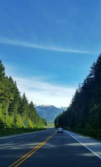 Road by trees against sky