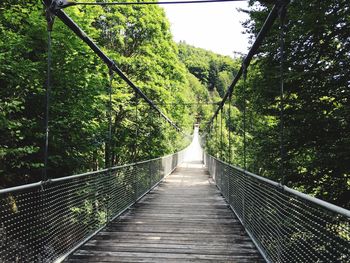 View of footbridge in forest