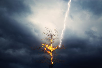 Low angle view of silhouette plant against cloudy sky