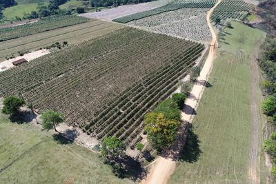 Aerial view of agriculture field. great landscape. countryside and rural scene.