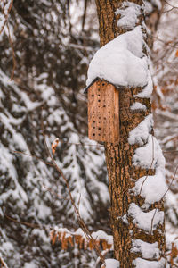 Snow covered tree trunk on field during winter