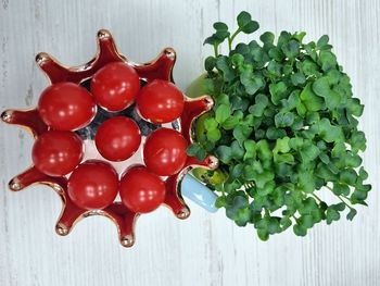 High angle view of fruits on table