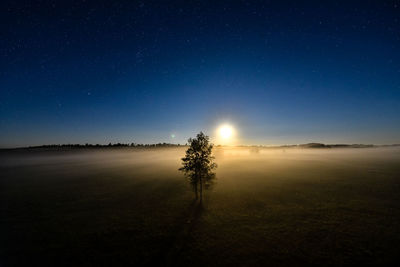 Stars over misty meadow with raising moon in bialowieza