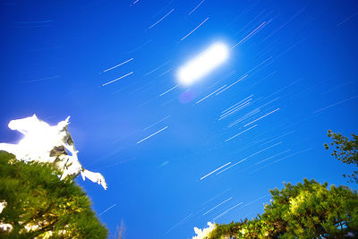 Low angle view of trees against blue sky