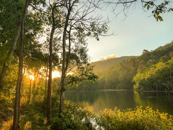 Scenic view of lake against sky