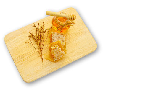 High angle view of leaf on wood against white background