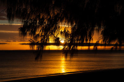 Silhouette trees by sea against sky during sunset