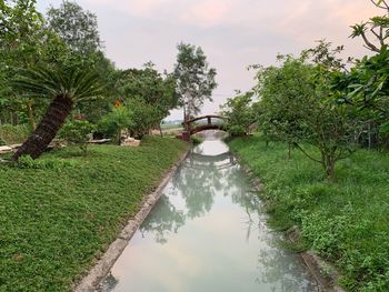 Canal amidst trees against sky