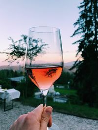 Close-up of hand holding wineglass against sky