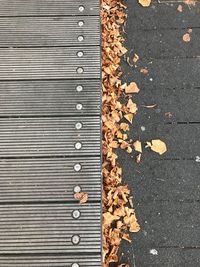 High angle view of dry leaves on table