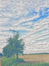 Tree on field against sky