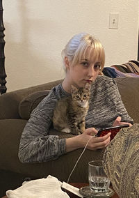 Young man using mobile phone while sitting on sofa at home